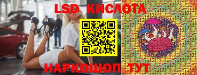 шишки Коммунар
