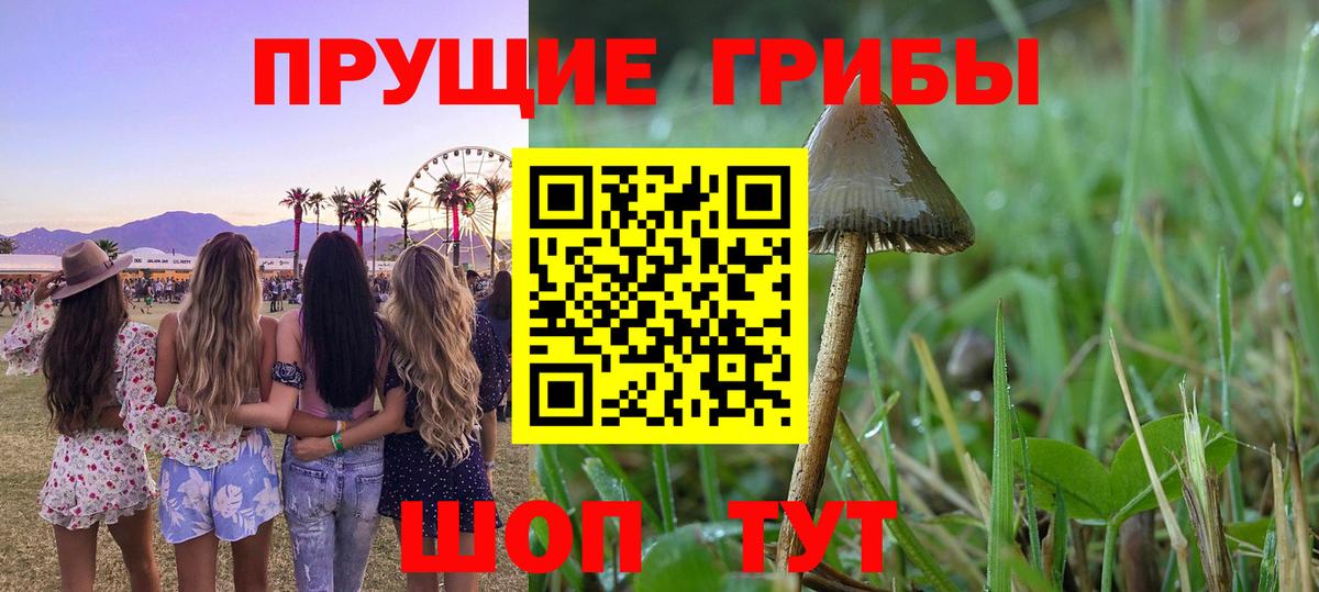 Галлюциногенные грибы прущие грибы  Вход с VPN  Янаул 