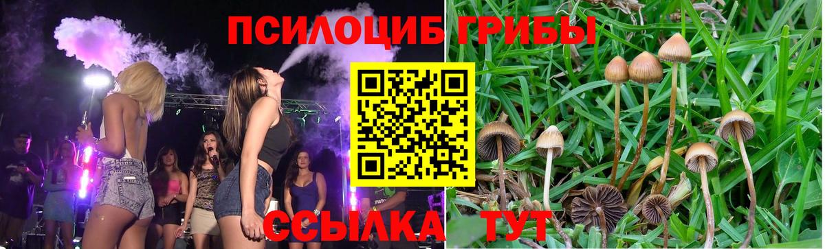 Галлюциногенные грибы мухоморы Янаул
